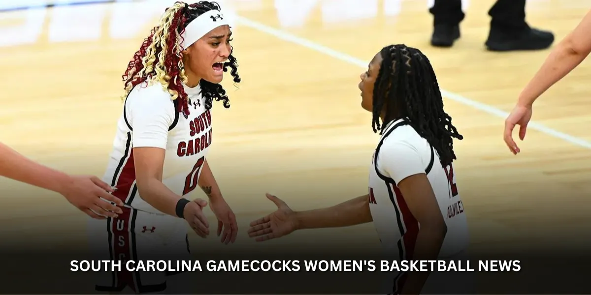 south carolina gamecocks women's basketball news