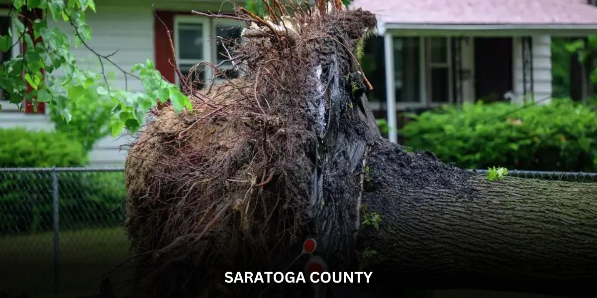 Saratoga County : Powerful Storm Leaves Over 80,000 in Saratoga County Without Power